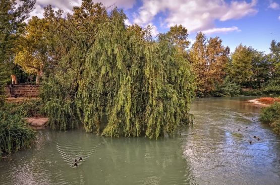 Ribera del río Guadalope 