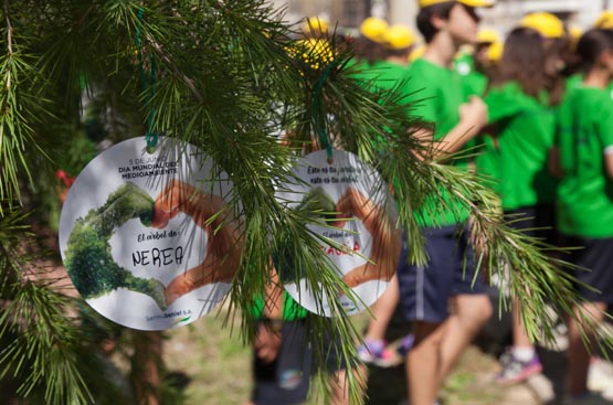 Ir a la noticia Más de cien niños de Beniel apadrinan un árbol